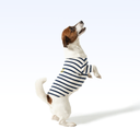 UCDC_PARISIAN PUP SHIRT